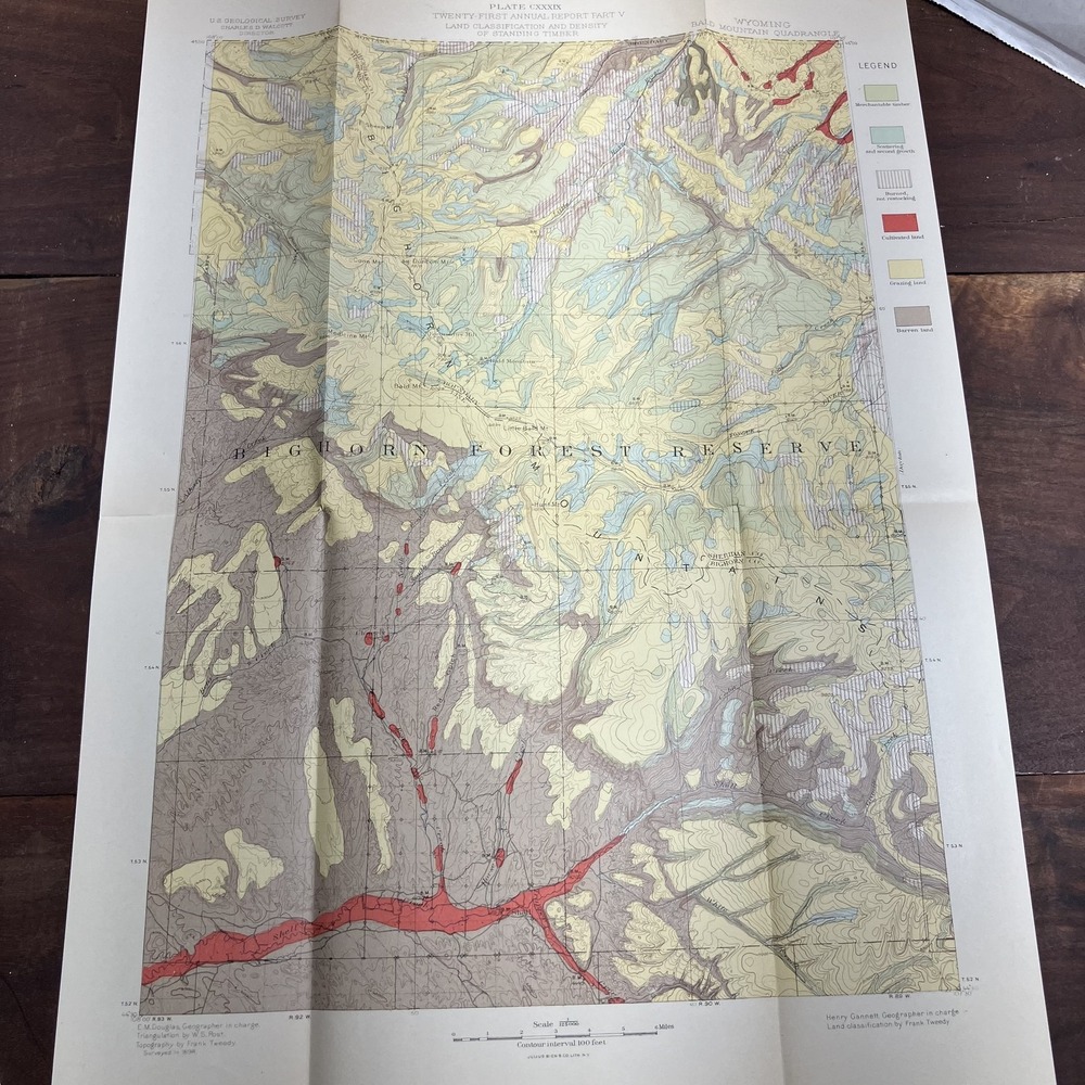 Vintage USGS Map Wyoming Bald Mountain Quadrangle 1898 Land Timber Survey Litho